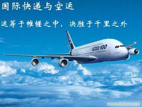 公司簡介